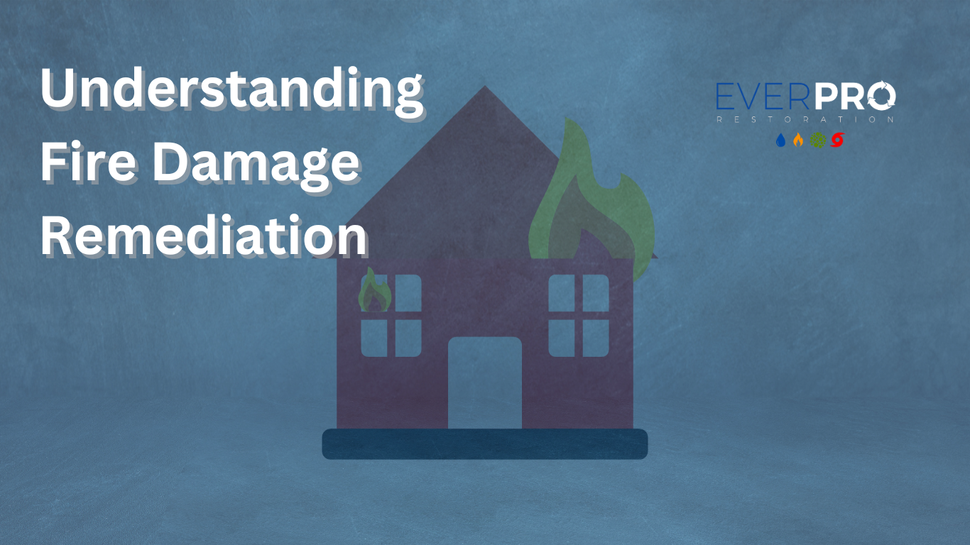 You are currently viewing Understanding Fire Damage Remediation