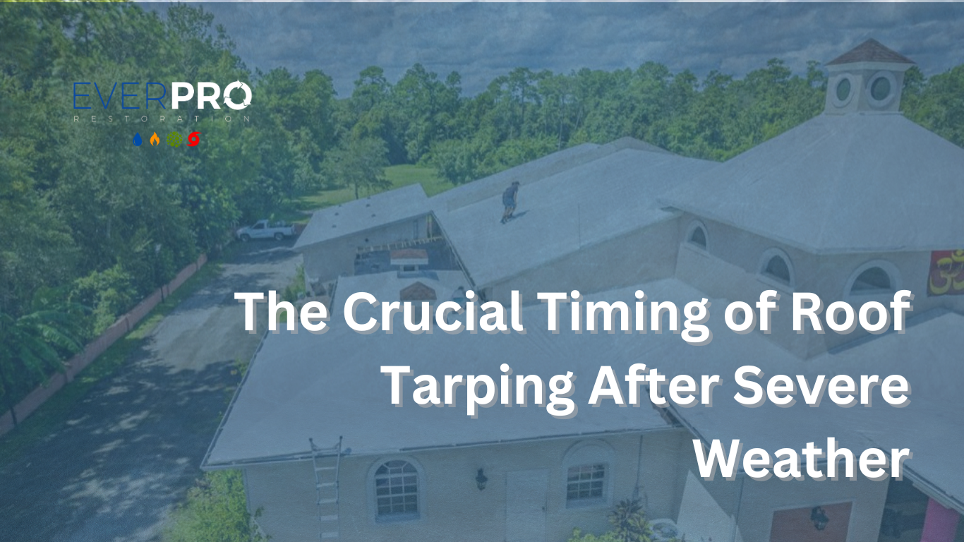 You are currently viewing The Crucial Timing of Roof Tarping After Severe Weather