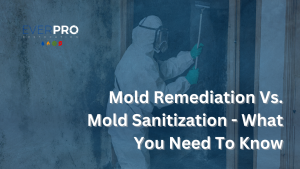 Read more about the article Mold Remediation Vs. Mold Sanitization – What You Need To Know