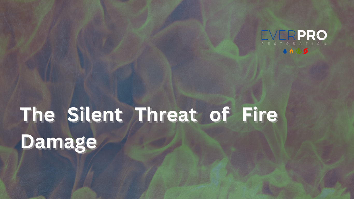 Read more about the article The Silent Threat of Fire Damage