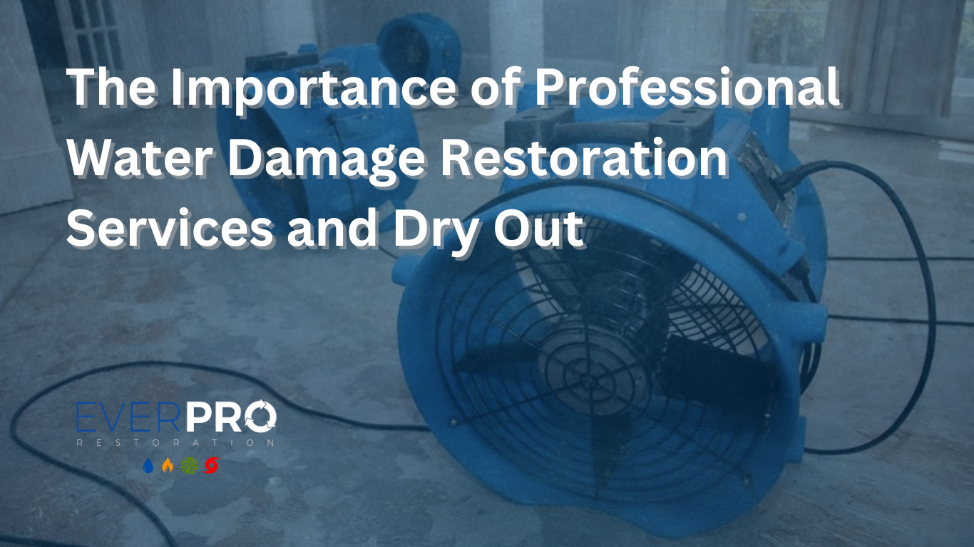 Read more about the article The Importance of Professional Water Damage Restoration Services