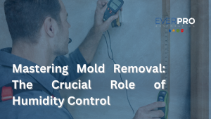 Read more about the article Mastering Mold Removal: The Crucial Role of Humidity Control