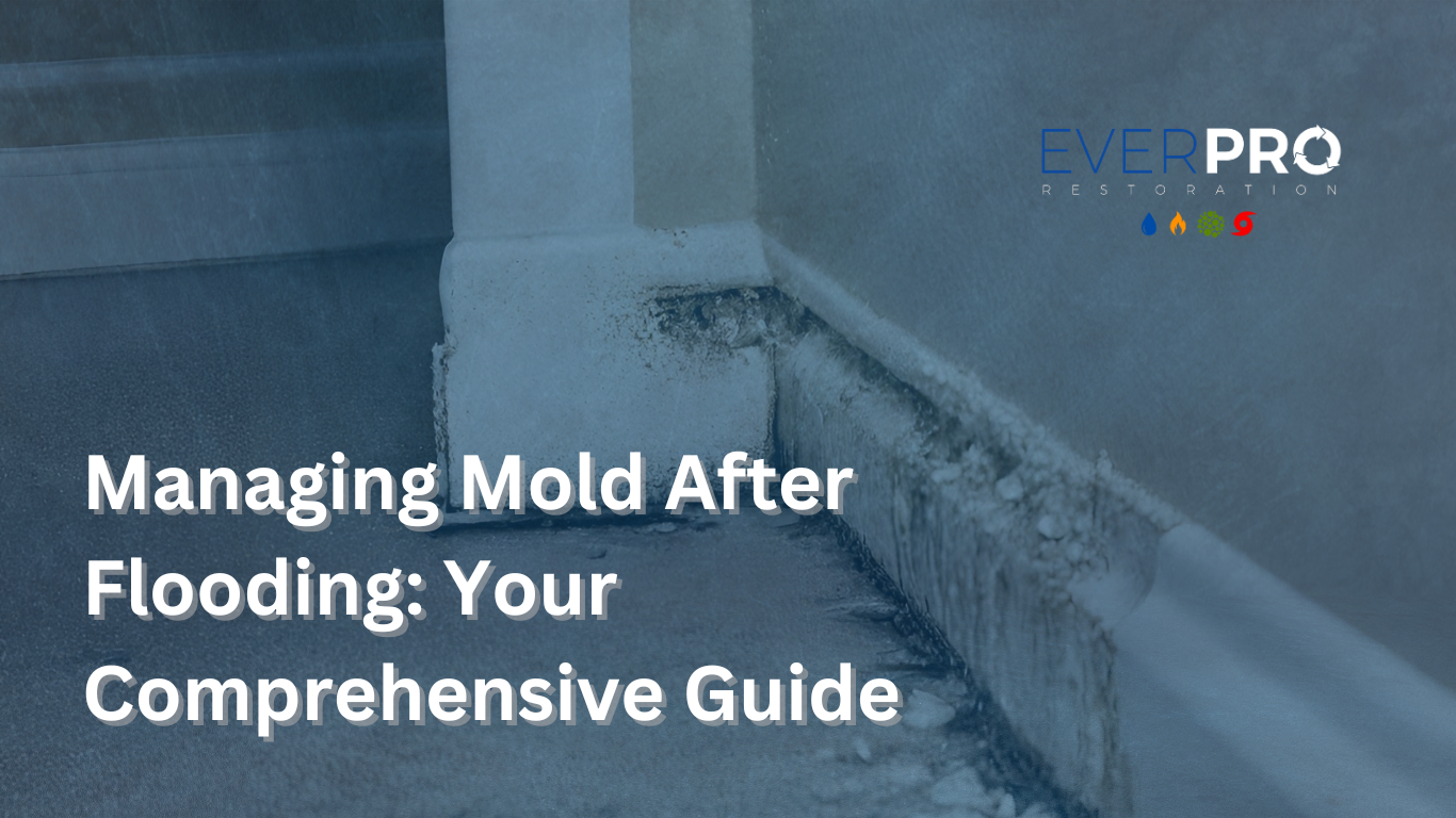 You are currently viewing Managing Mold After Flooding: Your Comprehensive Guide
