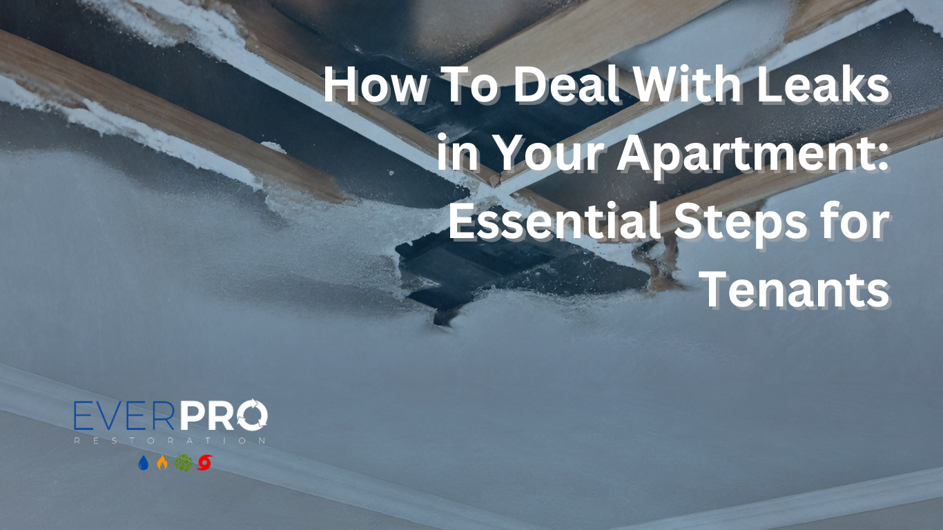 Read more about the article How To Deal With Leaks in Your Apartment: Essential Steps for Tenants