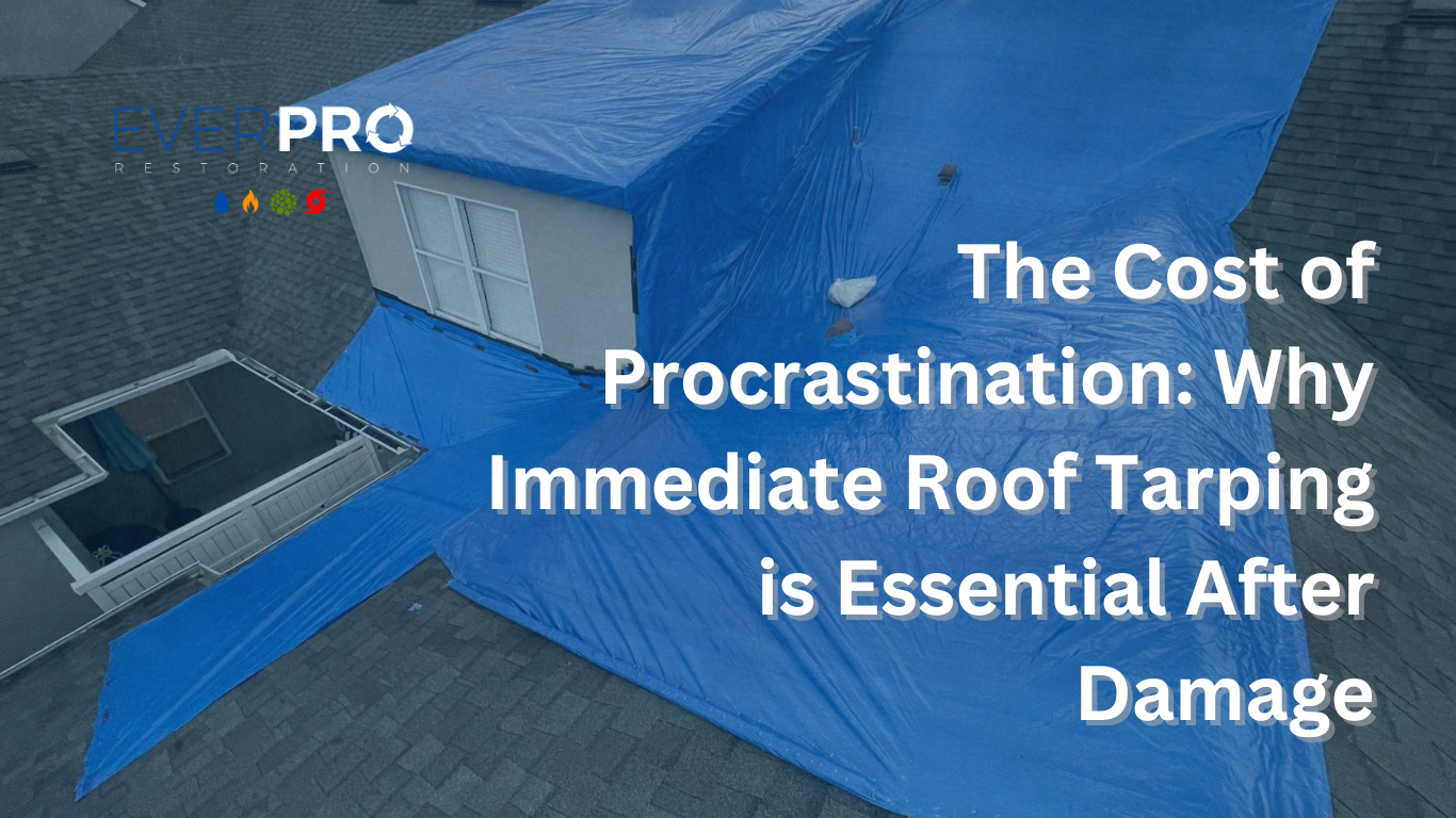 Read more about the article The Cost of Procrastination: Why Immediate Roof Tarping is Essential After Damage