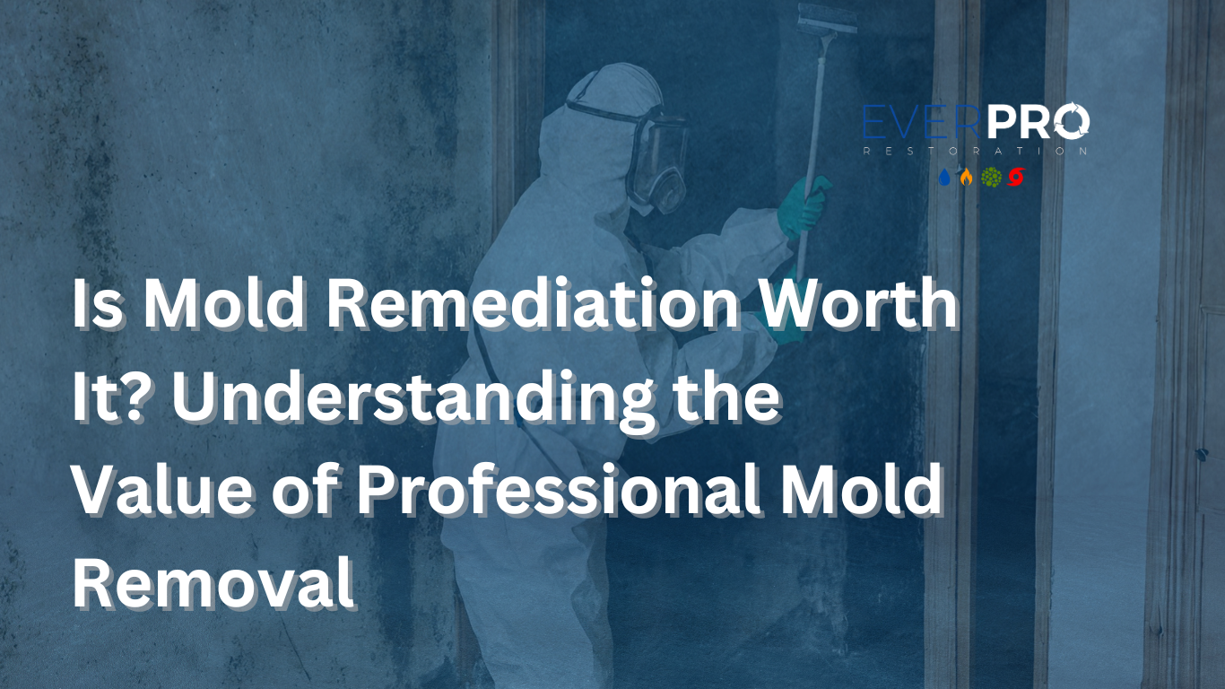 Read more about the article Is Mold Remediation Worth It? Understanding the Value of Professional Mold Removal