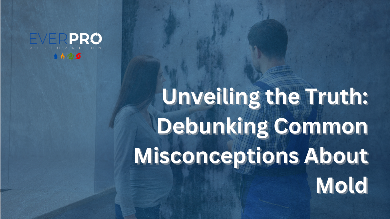 You are currently viewing Unveiling the Truth: Debunking Common Misconceptions About Mold