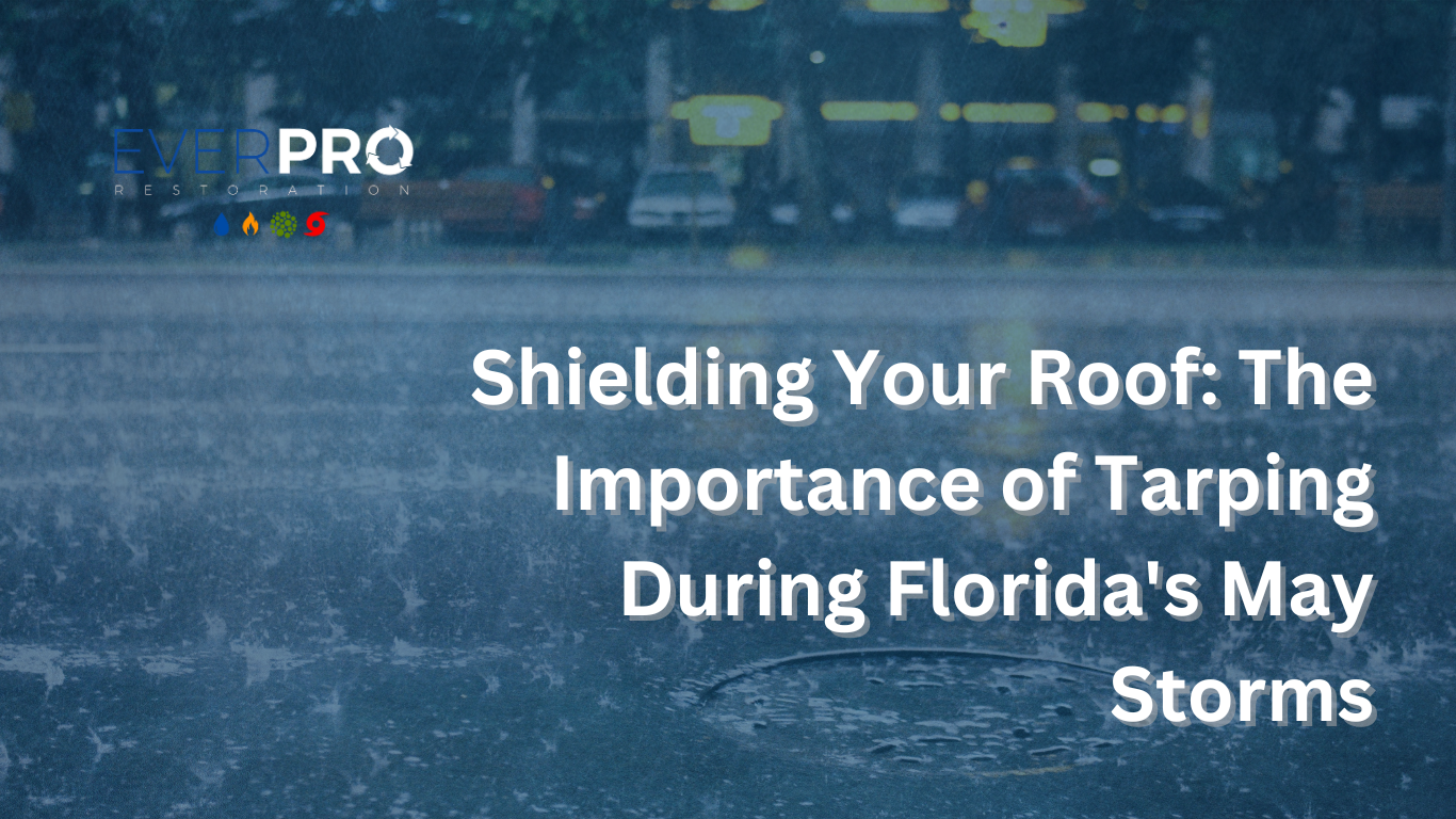 Read more about the article Shielding Your Roof: The Importance of Tarping During Florida’s May Storms
