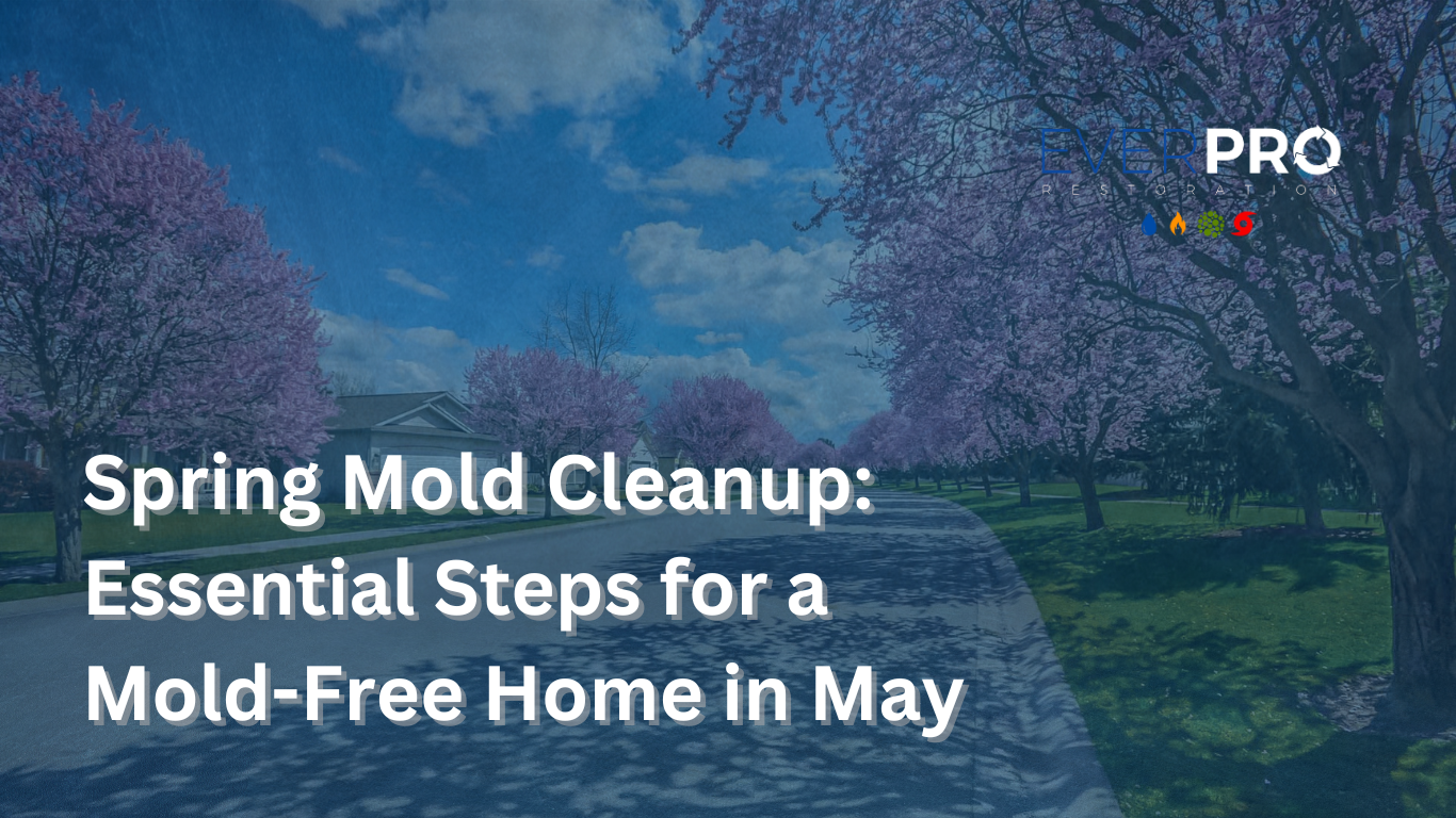 You are currently viewing Spring Mold Cleanup: Essential Steps for a Mold-Free Home in May